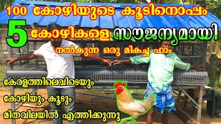 100 കോഴികൾക്കുള്ള ഹൈടെക് കൂട് വൻ വിലക്കുറവിൽ കിട്ടുന്ന കേരളത്തിലെ ഫാം | Hi-Tech Chicken Cage