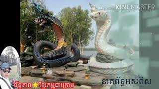 នាគព័ន្ធអស់ពិស