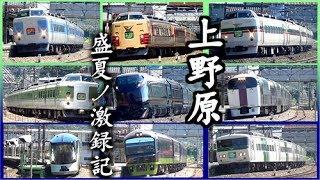 【激録記！】盛夏の上野原を駆け抜ける豪華列車たち　189系全種・四季島・E655系なごみ　など収録