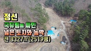 (정선부동산) 매번 24-392 정선국유림자락 매매가 평당 7만5천원 토지 8327㎡(2519평)매매(평창 방림부동산)