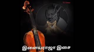 #Ilayaraja#Violin collection #songs#Tamillovemelody 🎻