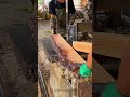 wood turning, dangerous wood saw, close up of band saw cutting a piece of wood #wood  #woodworking