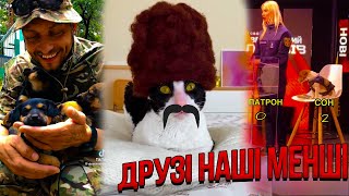 Друзі наші менші Меми, Жарти, Приколи #6