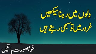 Amazing Collection Of Urdu Quotes | Inspirational Hindi Quotes | Aqwal e zareen