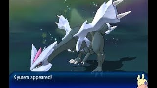 LIVE AMAZING SHINY KYUREM + FUSIONS 5220 SRS Ultra Moon!