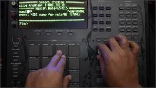 117.  MPC3000 Vailixi Sound Compression