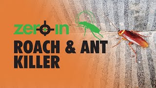 Zero In™ Roach and Ant Killer Aerosol Residual Roach and Ant Eliminator