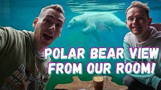 Sleeping Next to Polar Bears | Pairi Daiza White Bear House (Polar Bear Room)