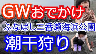 【潮干狩り】ふなばし三番瀬海浜公園♫かんれきパパのあそび場ありさ12