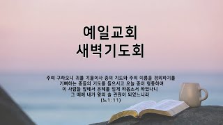 예일교회 Yeil Church 2022.11.17. \