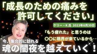 #379 「成長のための痛みを許可してください」ケリー・K氏  集合的な魂の闇夜を越えていく！【スピラジ】