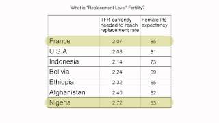 Distilled Demographics: Population Momentum