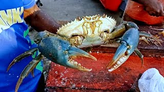 ⚠️ Interesting !!Alive Giant Big Crabs Fastest Cleaning and Cutting | Crab Cutting Technique