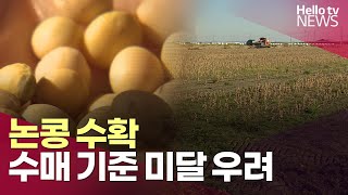 전략 작물이어서 콩 키웠는데…수매 불가?ㅣ#헬로tv뉴스