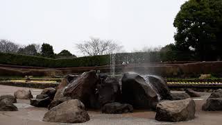 神奈川県立 四季の森公園 噴水  Kanagawa Prefectural Forest of the Four Seasons Park Fountain