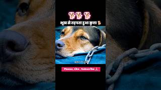 भूख से तड़पता हुआ कुत्ता 🐕#shorts #explore #explained