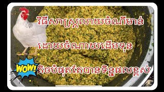 វិធីសាស្រ្តលាយចំណីមាន់ ដោយចំណាយដើមទុនតិច តែបានទិន្នផលខ្ពស់ |Man Srae មាន់ស្រែ