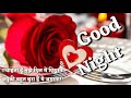 Good night video - Beautiful & Lovely whatsapp status, Greetings,wishes,quotes,massage,lovely status