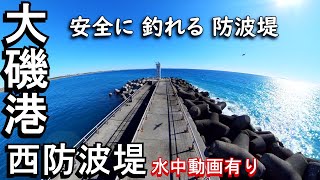 大磯港西防波堤…神奈川県で釣りが出来る防波堤の中で、有名なポイントのひとつです。四季折々多彩な魚種が釣れる防波堤なのですが、今回新年早々防波堤の水中映像と共に、ご紹介させて頂きます。