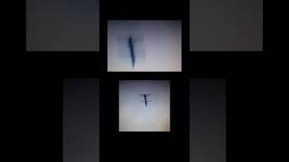 Wtf Is This Flying Over Mexico
