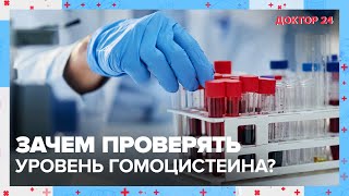 Что такое ГОМОЦИСТЕИН? | Доктор 24