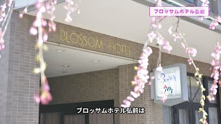 【即予約】弘前市のおすすめ旅館、ホテルをご紹介！！【ブロッサムホテル弘前編】