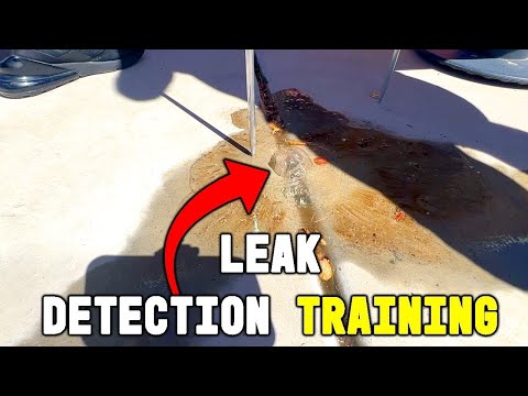 Leak Detection Training Everything You Need To Know Youtube