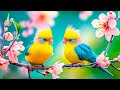 Birds Singing 4K~ Bird Sounds for Restore Nerves 🌿 Calm the Mind, Heal the Heart and Release Worry