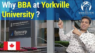 BBA at Yorkville University, Canada | Best UG Program | Best University ​for Canada Study Visa