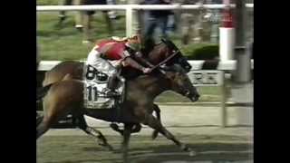 The Belmont Stakes - Triple Crown Near Misses