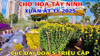 Cập Nhật Chợ Hoa Xuân Tây Ninh Ất Tỵ 2025 Đã Có Những Gian Hàng Đầu Tiên, Chuẩn Bị Đi Chợ Nào Anh Em