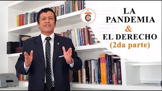 LA PANDEMIA £ EL DERECHO (Parte 2) - Tribuna Constitucional 135 - Guido Aguila Grados