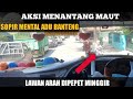 NGEBLONG BRUTAL‼️ ADU BANTENG VS MOTOR HAMPIR DIGASAK || NAIK BUS HARAPAN JAYA