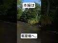 50オーバーのニジマスがジャンプしまくる【 北海道 フライフィッシング 】 shorts