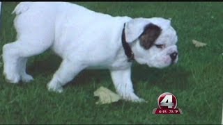 Local woman targeted in online puppy scam