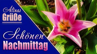 Schönen Nachmittag🌞🌞🌞🌷🍀