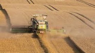 #Ernte #Weizen #Claas Claas Lexion 760 am Abend