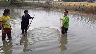 สามสาวส้อนกุ้งยามแลง ได้หลายคักอีหลี / ສາມສາວສ້ອນກຸ້ງຍາມແລງ