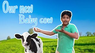 പുതിയ പശുകുട്ടി ഉണ്ടായി 🐄🥰❤️