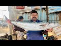 8kg vangaram fish cutting 🔥kasimedu fish cuts 🔪awesome vangaram sliced 👌🏻