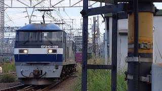 【遅延貨物】JR貨物 EF210-159号機+コキ18B 吹A133仕業[1081レ] 百済タ行 花月園前踏切通過！