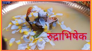 घर पर रुद्राभिषेक कैसे करें | सावन रुद्राभिषेक कैसे करे | Shiv Rudrabhishek Puja | Rudrabhishek