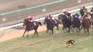 2011年 第56回 有馬記念 オルフェーヴル JRACM MAD 目指すは凱旋門賞