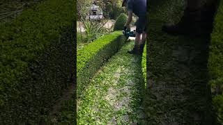 Satisfying Garden Work part -2#garden #satisfyinggardening #gardening #satisfyingvideo