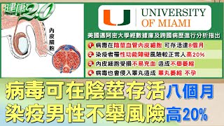 病毒可在陰莖存活八個月 染新冠男性不舉風險高20% 健康2.0