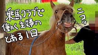 【馬がカワイイ】乗馬クラブで働く主婦のとある1日