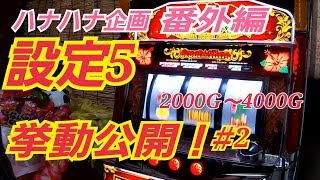 【ハナハナ企画　番外編】第2回目、設定5を6000G回してみた！誰でもできる設定判別企画☆