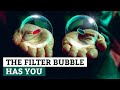 Filter Bubbles & Echo Chambers: How the Internet Affects Your Mind | Sumsub