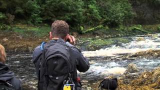 Alaska Photo Expedition: Bear Photography