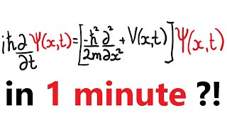 Schrodinger Equation explained in under 1 minute